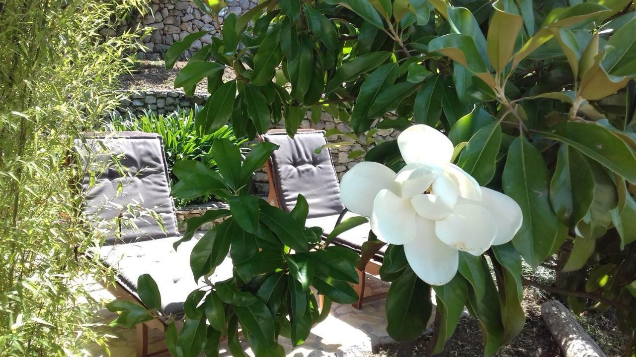 Apartment Barica ตริสเตโน ภายนอก รูปภาพ